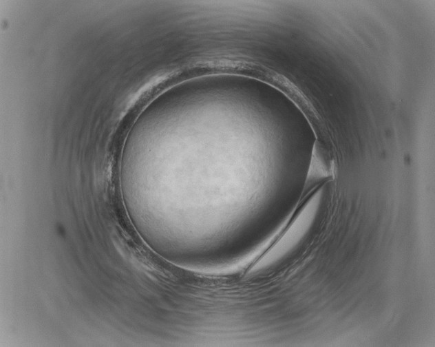 X0000081280723200701251627