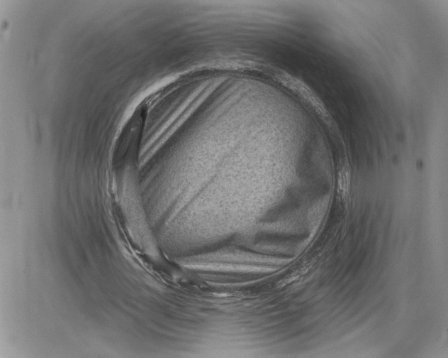 X0000081280724200701251627