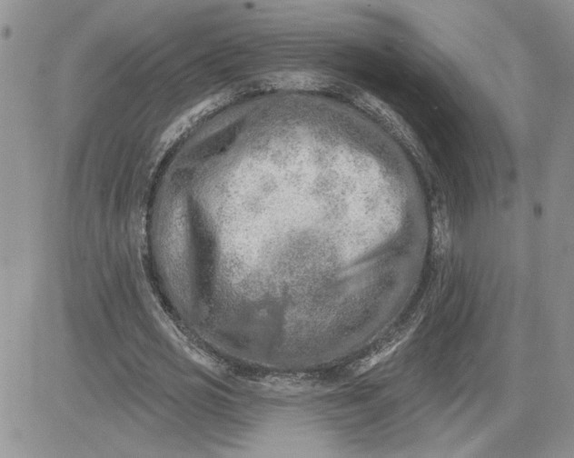 X0000081280725200701251627