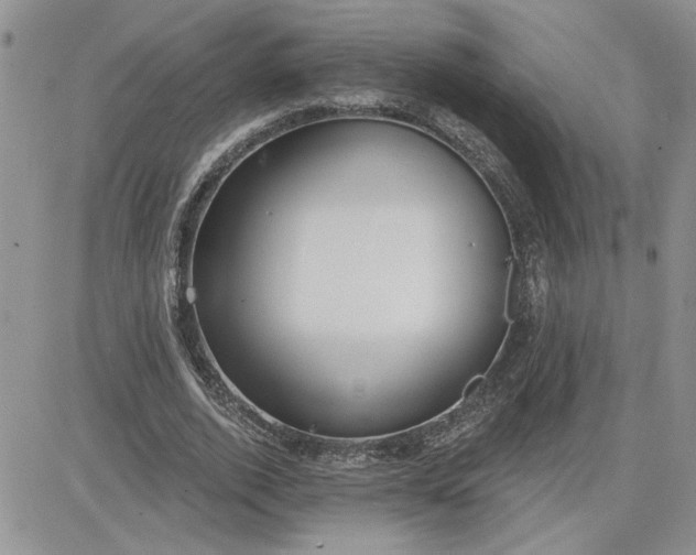 X0000081280728200701251627