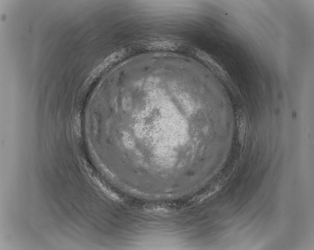 X0000081280729200701251627