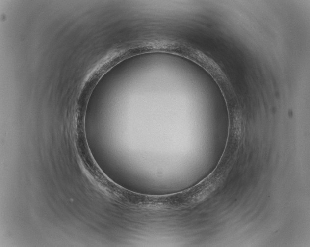 X0000081280730200701251627