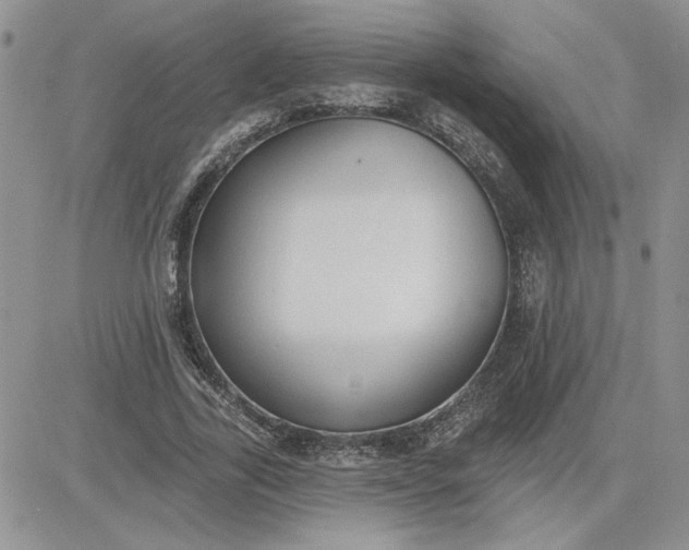 X0000081280731200701251627