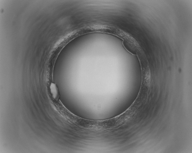 X0000081280732200701251627