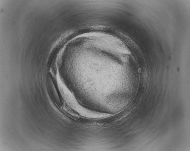 X0000081280734200701251627