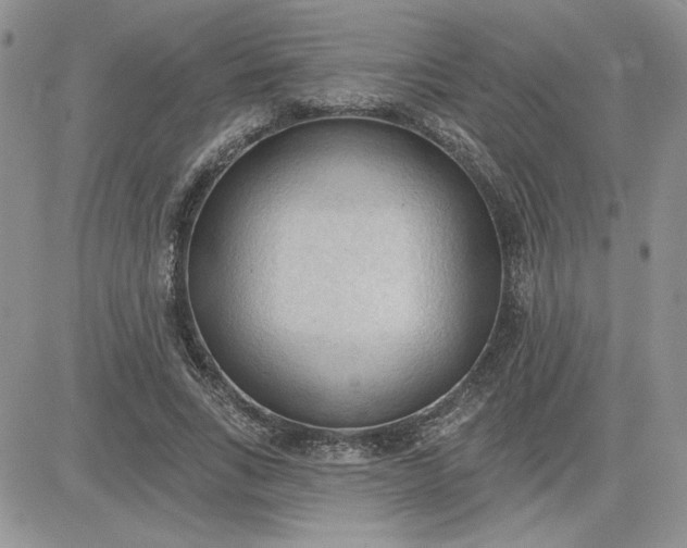 X0000081280735200701251627