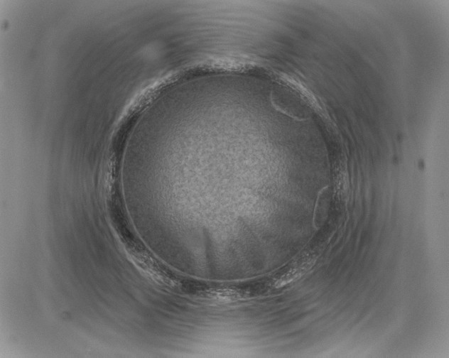 X0000081280736200701251627