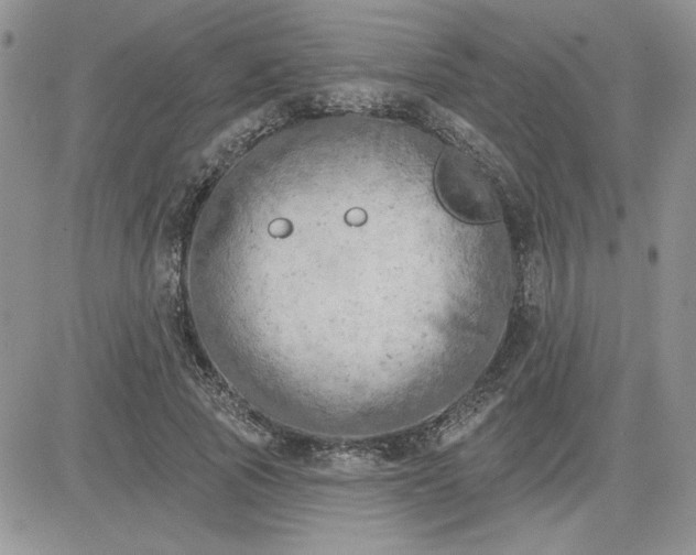 X0000081280737200701251627