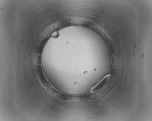 X0000081280738200701251627