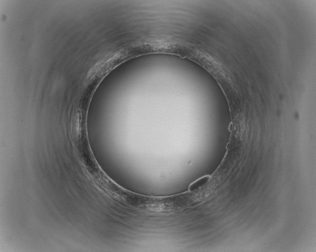 X0000081280740200701251627