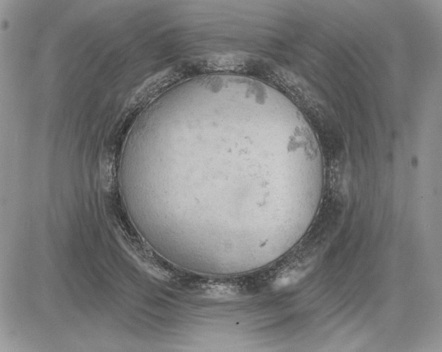 X0000081280741200701251627