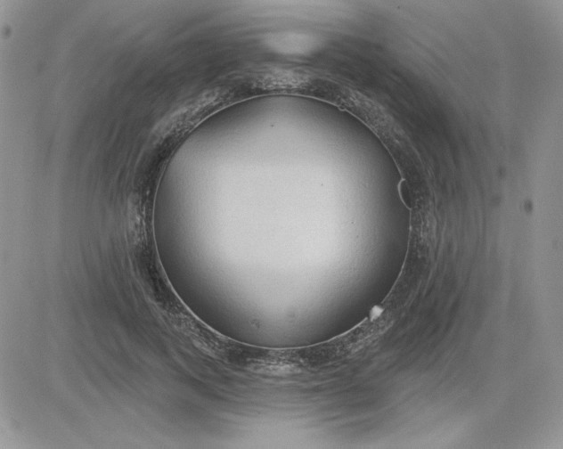 X0000081280743200701251627