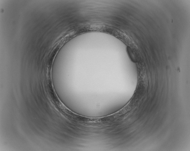 X0000081280744200701251627