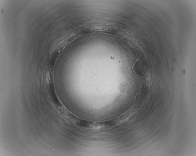 X0000081280746200701251627