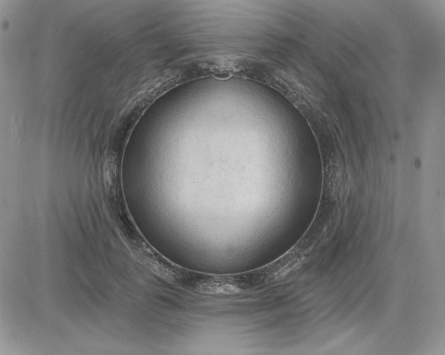 X0000081280747200701251627