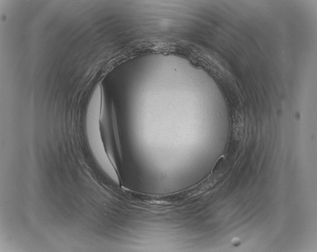 X0000081280748200701251627