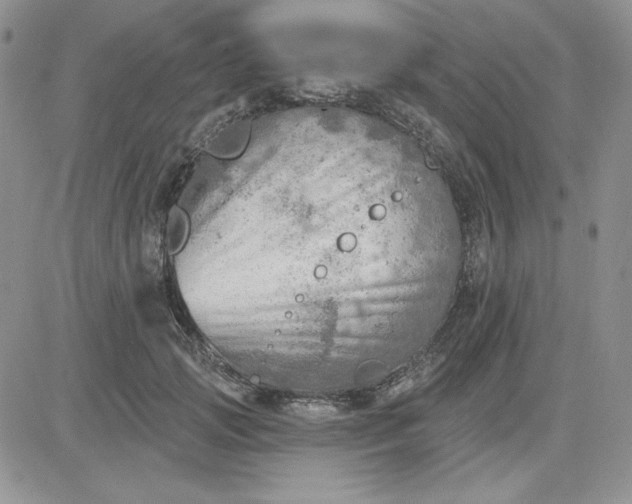 X0000081280749200701251627