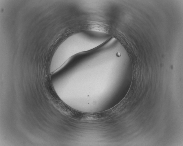 X0000081280750200701251627