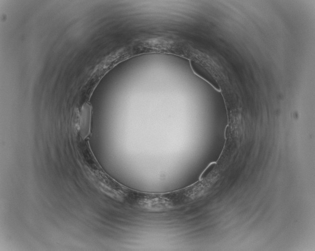 X0000081280752200701251627