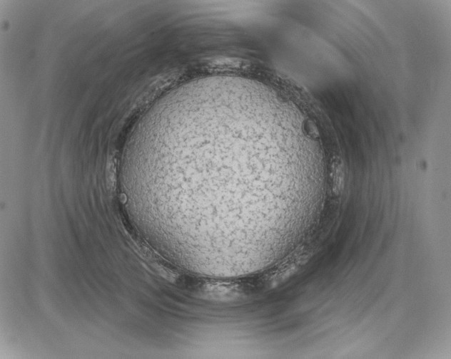 X0000081280753200701251627