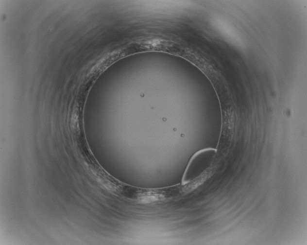 X0000081280754200701251627