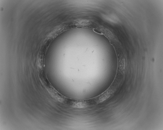 X0000081280755200701251627