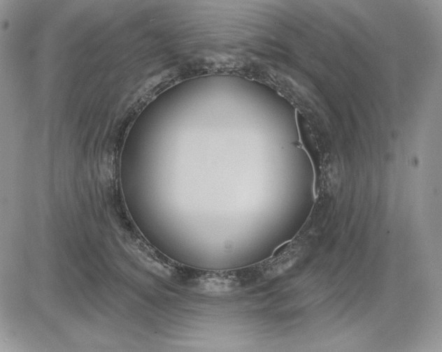 X0000081280756200701251627