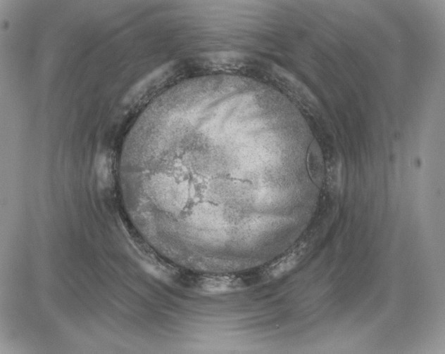 X0000081280757200701251627