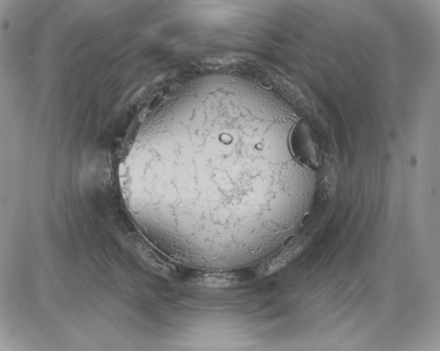 X0000081280758200701251627