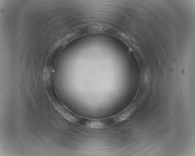 X0000081280759200701251627