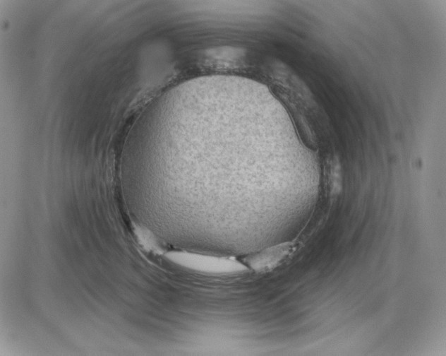 X0000081280760200701251628