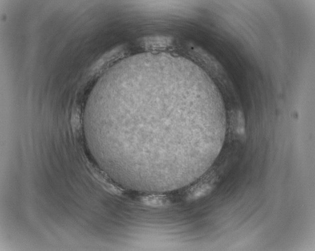 X0000081280761200701251628