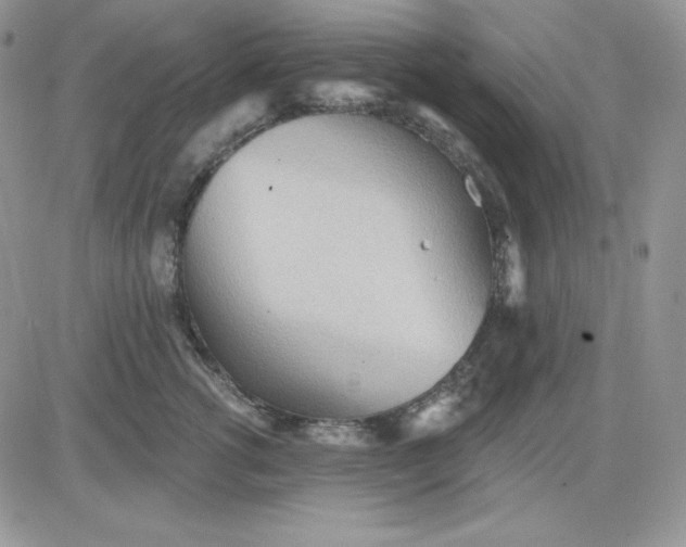 X0000081280762200701251628