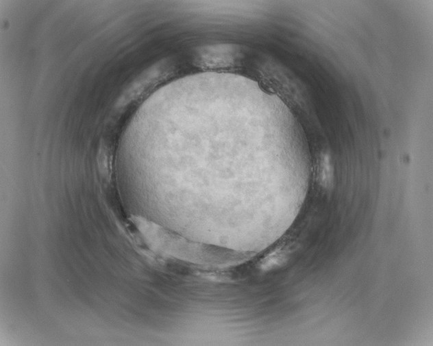 X0000081280763200701251628