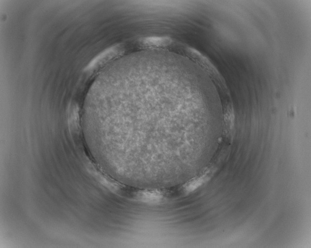 X0000081280765200701251628