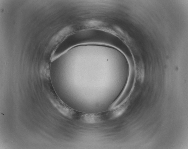 X0000081280766200701251628