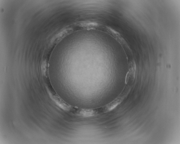 X0000081280767200701251628