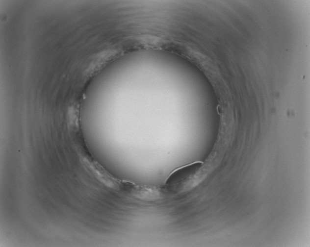 X0000081280768200701251628