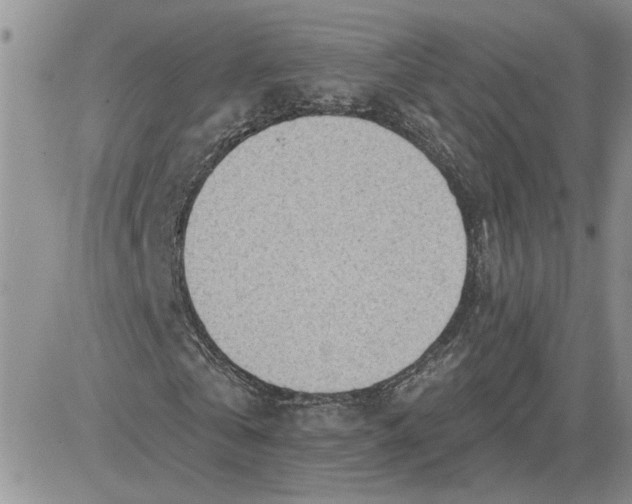 X0000081280769200701251627