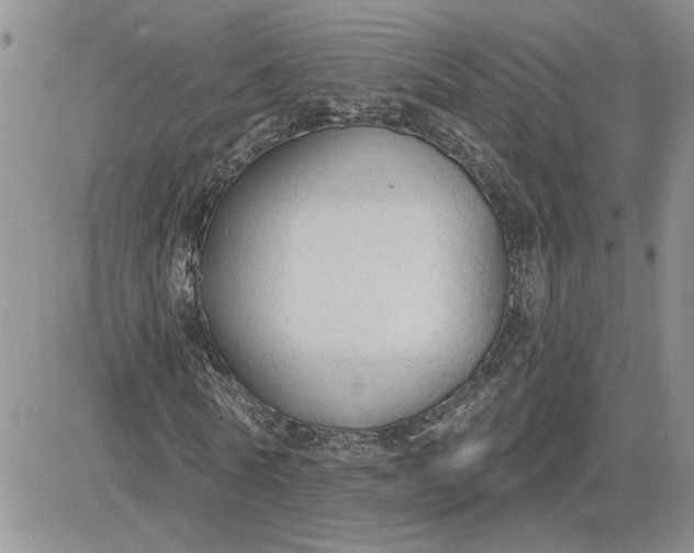 X0000081280770200701251627