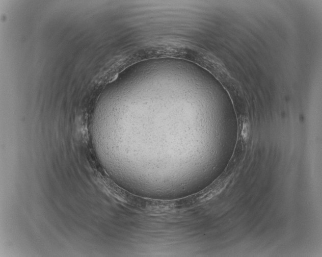 X0000081280771200701251627