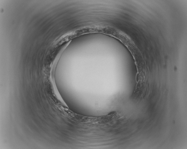 X0000081280773200701251627