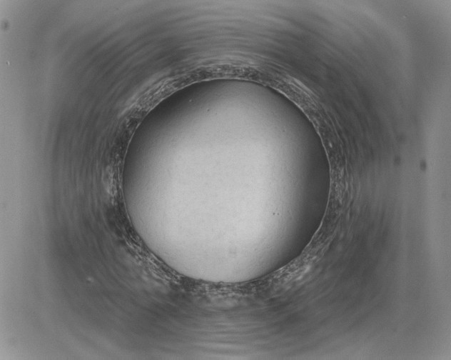 X0000081280774200701251627