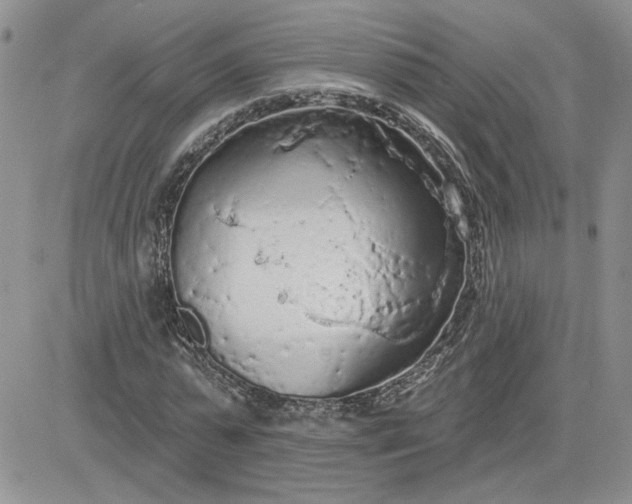 X0000081280775200701251627