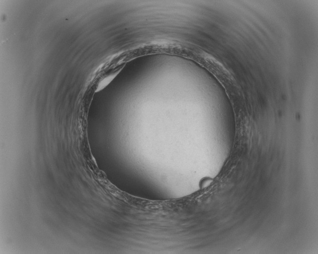 X0000081280776200701251627