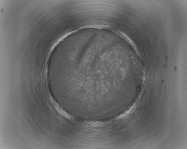 X0000081280779200701251627