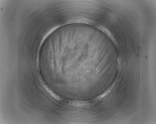 X0000081280780200701251627