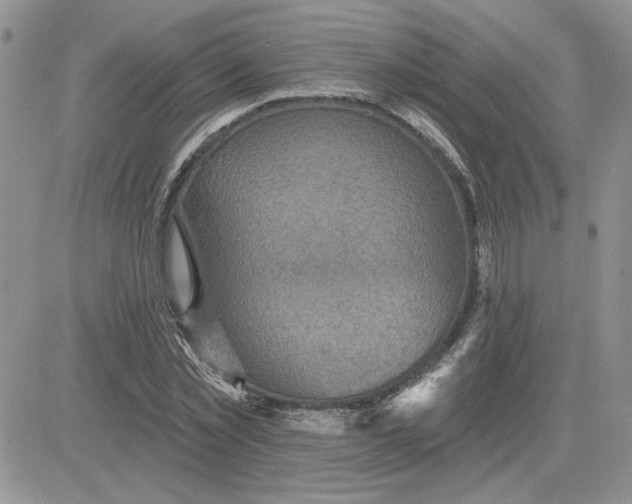 X0000081280781200701251627