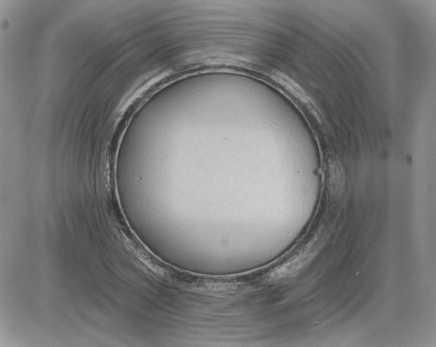 X0000081280782200701251627