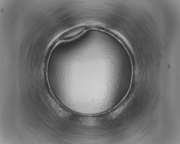 X0000081280783200701251627